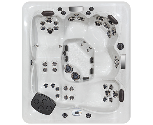 Спа бассейн Master Spas Twilight Series TS 87.3 (рис.2)